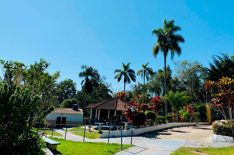 Área verde do Instituto Radar Brasil com jardim, palmeiras e espaços de convivência